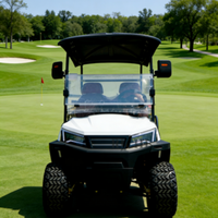 Voiturette de golf électrique 4 places avec pneus résistants à l'usure, couleur personnalisable, directement de l'usine, idéale pour les loisirs en zone privée, les trajets quotidiens et les dunes.