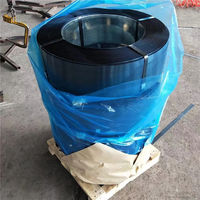 Spring Steel Strip Coil 65Mn for Clock Spring Clutch Plate and Stamping Parts