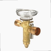 Módulo de Expansión TGE 067N2169 para Automatización Industrial