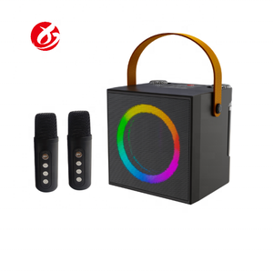 Altavoz Bluetooth Portátil Profesional Recargable con Micrófonos Dobles y Asa, OEM/ODM de Fábrica al por Mayor 2026 - Product Image 5