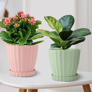 P168, jardinière <span class=keywords><strong>en</strong></span> <span class=keywords><strong>plastique</strong></span> Morandi Color Waist-Slimming Stripe pour jardinage intérieur/extérieur, vente à chaud - Product Image 4