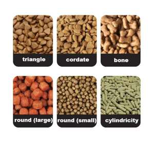 Machine extrudeuse de type sec pour aliments pour poissons, nouvelle conception 2025, machine à granulés d'aliments pour poissons - Product Image 5