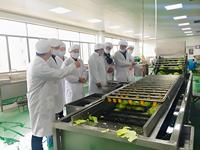 Chambre froide commerciale sur mesure pour cuisine centrale, entrepôt frigorifique, chambre de réfrigération à taille personnalisée avec commande automatique du moteur pour la restauration