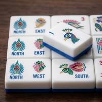 Ensemble de Mahjong Américain Personnalisé de Luxe Moderne, Tuiles Acryliques Pliables à 2 Couches avec Motifs Audacieux NEWS et Dragon