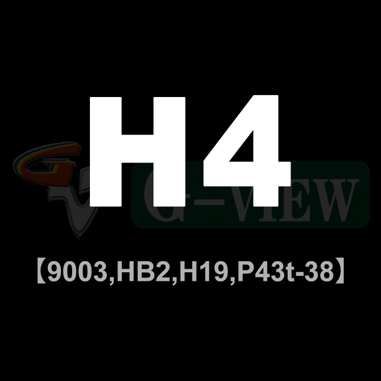 H4/H19
