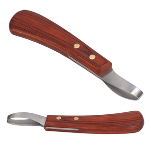 Cuchillo para Pezuñas de Acero Inoxidable de Doble Filo, Probador de Pezuñas, Mango Ergonómico con Diseño de Lazo, Reutilizable, Duradero, para Animales Grandes - Product Image 2