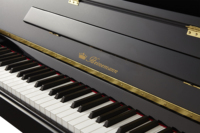 Standard di Pianoforte 88 Tasti di Pianoforte Tastiera di Pianoforte Per I Bambini di Età