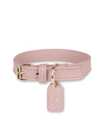 Collare per Cani in Morbida Pelle di Lusso Personalizzato con Chiusura a Strappo, Anello a D Regolabile e Lavabile