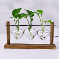 Stations de propagation, vase en verre hydroponique avec cadre en bois, décoration de bureau, décoration de la maison