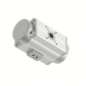 (Actuador de Válvula <span class=keywords><strong>Solenoide</strong></span>) <span class=keywords><strong>ADN</strong></span>-100-80-A-P-A - Product Image 1