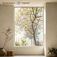 Ventana Fija Personalizada con Marco de Aluminio y Malla, Certificación NFRC/NAFS