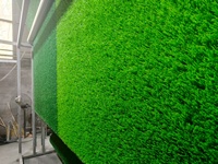 Alfombra de Césped Artificial de Lujo para Exteriores, Patio o Jardín, Ultra Gruesa y Suave