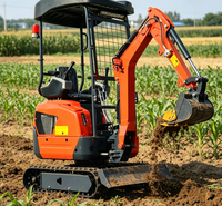 Mini-excavatrice sur chenilles de 2 tonnes avec certification CE pour la construction agricole