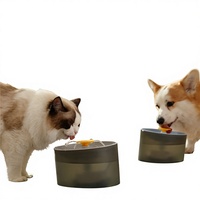 Fontaine à eau automatique pour chats et chiens avec filtration silencieuse à circulation continue, distributeur d'eau pour animaux de compagnie, sans matériaux nocifs