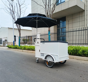 Tricycle de livraison électrique mobile d'extérieur avec congélateur pour la vente de crème glacée - Product Image 5