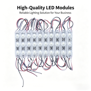 DC12V SMD2835 IP65 Outdoor LED Sign Module 3 <b>Light</b> Lens 1.2W White 11000K 120 Lumen High Bright CE Rohs - Product Image 4