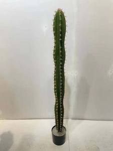 Plantas de <span class=keywords><strong>cactus</strong></span> de interior Bonsai Decoración del hogar Maceta de <span class=keywords><strong>cactus</strong></span> Planta verde artificial - Product Image 3