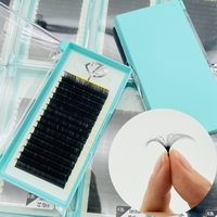 Extensiones de Pestañas de Cachemira Negro Azabache, Método Pinch, Bandejas de Extensiones de Pestañas de Seda Premium al por Mayor, Extensiones de Pestañas de Volumen
