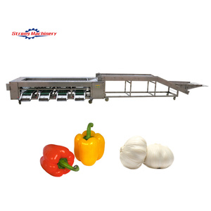 Trieuse automatique de taille de fruits et légumes Trieuse de pommes de terre Trieuse de dattes de fruits - Product Image 1