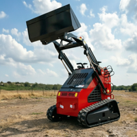 Mini Skid Steer Loader, Caricatore Compatto Cingolato, Diesel Idraulico EPA Euro 5 per Fattoria, Giardino e Cantiere