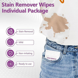 Vente en gros Lingettes humides écologiques emballées individuellement pour le nettoyage du linge Détachant pour vêtements <span class=keywords><strong>Lingette</strong></span> à crier - Product Image 4