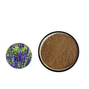 Extrato Vegetal De Cuidados De Saúde Salvia Officinalis <span class=keywords><strong>Clary</strong></span> <span class=keywords><strong>Sage</strong></span> <span class=keywords><strong>Extract</strong></span> - Product Image 1