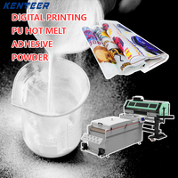 Film de transfert thermique DTF en TPU super extensible et souple, encre blanche, adhésif en vrac respirant, poudre DTF 25kg KTPU-15 Kenteer