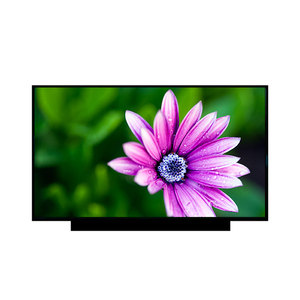 หน้าจอ LCD ขนาด 19.0 นิ้ว 1680RGB*1050 WSXGA 104PPI รุ่น EV190WPM-N10 สำหรับการถ่ายภาพทางการแพทย์ ขายส่ง - Product Image 1