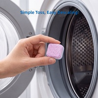 Tablettes nettoyantes écologiques pour lave-linge OEM/ODM : Éliminent les résidus d'odeurs, nettoient en profondeur et dissolvant les poils d'animaux