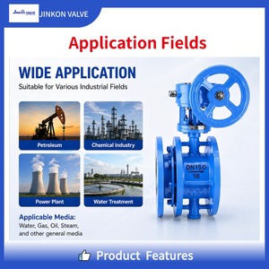 Telescopic Flange Triple Eccentric Valve, <b>Worm</b> Gear, WCB Body, for Petroleum/Chemical/Power Plant, OEM Support SD343H-25C JINKON - Product Image 2