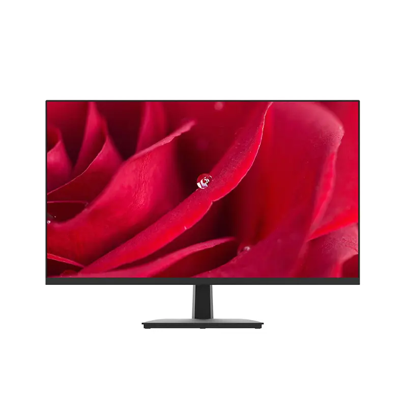 Moniteur LED IPS 23.8 pouces Entrée HD VGA Moniteur d'ordinateur de bureau 24 pouces DC 12V