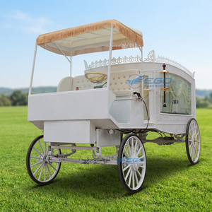 2026 Élégante Carrosse funéraire blanc à chevaux, modèle américain, dernière version, à vendre, électrique/à chevaux - Product Image 2