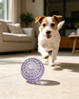 Juguetes Masticables para Perros de TPR Populares, Interactivos, Tamaño Mediano, para Uso en Interiores/Exteriores