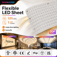 Feuille LED ultra-fine découpable Raymates, couleur blanc transparent, pour rétroéclairage des comptoirs en onyx et granit