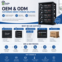 Système de batterie solaire LiFePO4 monté sur rack, 6000 cycles, boîtes de batterie sur rack pour stockage d'énergie résidentiel avec protection BMS