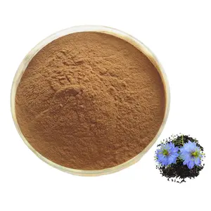 Chất lượng cao nigella sativa đen hạt giống chiết xuất 10% thymoquinone Đen Cumin chiết xuất Đen Cumin chiết xuất bột số lượng lớn