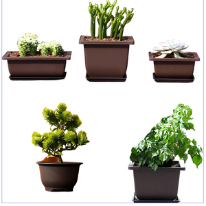 Vaso Quadrato in PP Multi-Misura per <span class=keywords><strong>Bonsai</strong></span> e Piante Grasse, Ecologico e Leggero, per Esterni/Interni con Foro di Drenaggio - Product Image 2