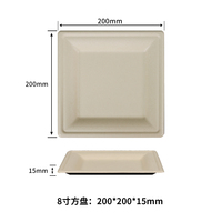 Bonne qualité sucre bagasse 10 pouces carré/rond assiette assiettes jetables ensemble friteuse à Air bac à papier pour la cuisson des aliments