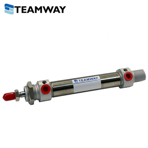 Cylindre pneumatique miniature TEAMWAY DS, alésage 12-40 mm, course 25-300 mm, cylindre à air en acier inoxydable, remplace SMC CDJ2B UNIMEG - Product Image 1