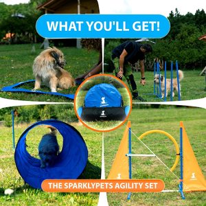 Cours complet d'équipement d'entraînement d'agilité pour chiens en plein air Poteaux <span class=keywords><strong>de</strong></span> tissage en métal et en plastique Boîte <span class=keywords><strong>de</strong></span> pause et tunnel - Product Image 5
