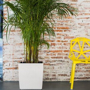 Topsale Lớn Dọc Ban Công Chậu Cây Nhựa Home Hotel Deocr Sợi Thủy Tinh <span class=keywords><strong>Flower</strong></span> Pot Tregarden Mây <span class=keywords><strong>Flower</strong></span> Vase - Product Image 2