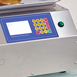 Macchina Riempitrice di Bevande e Succhi a <span class=keywords><strong>4</strong></span> Teste con Nastro Trasportatore, Vendita Diretta dalla Fabbrica - Product Image 6
