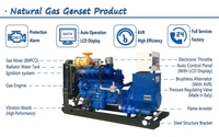 Groupe électrogène à gaz à économie d'énergie, unité de production d'électricité au biogaz pour l'alimentation en énergie des élevages porcins