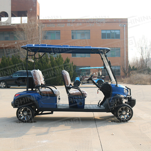 Sáng 400 Cubic Cm Động Cơ 4 Ghế Điện Tử Phanh Đường Phố Hợp Pháp Tùy Chỉnh Màu Sắc Và Bánh Xe Gas Golf Giỏ Hàng - Product Image 3