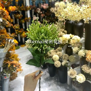 ต้นไม้ประดิษฐ์สีเขียว 72 ซม. สำหรับตกแต่งงานแต่งงาน ตกแต่งบ้าน ดอกไม้พลาสติก - Product Image 1
