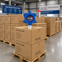 Détecteur de gaz inflammable fixe haute précision en aluminium HIREP CE ATEX antidéflagrant avec alarme sonore et lumineuse