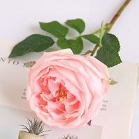 Rose artificielle Austin de haute qualité, faite à la main, toucher réaliste, en latex, couleur champagne bleu, tige unique, rose artificielle réaliste