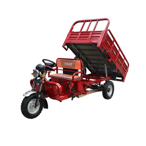 Motocicleta de tres ruedas, volcado de combustible de gasolina, carga refrigerada por agua, se puede registrar, tipo placa, triciclo asistido - Product Image 1