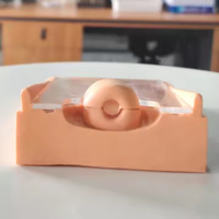Modèle de formation avancé de haute qualité sur dispositif intra-utérin contraceptif (DISC) pour femmes, en PVC, pour les écoles d'enseignement médical