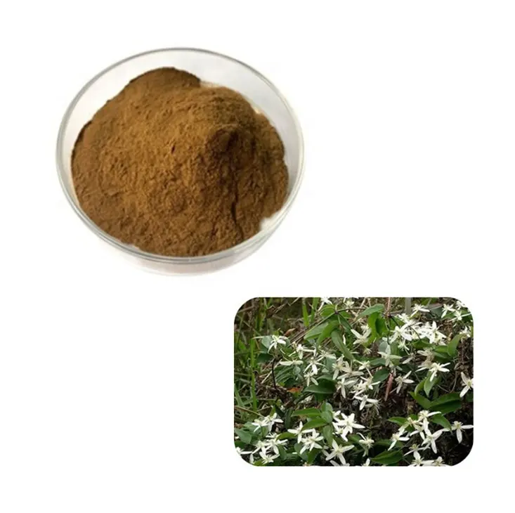 Pure Wei Ling Xian Clematis Chinensis Wortel Extract Bulk Poeder